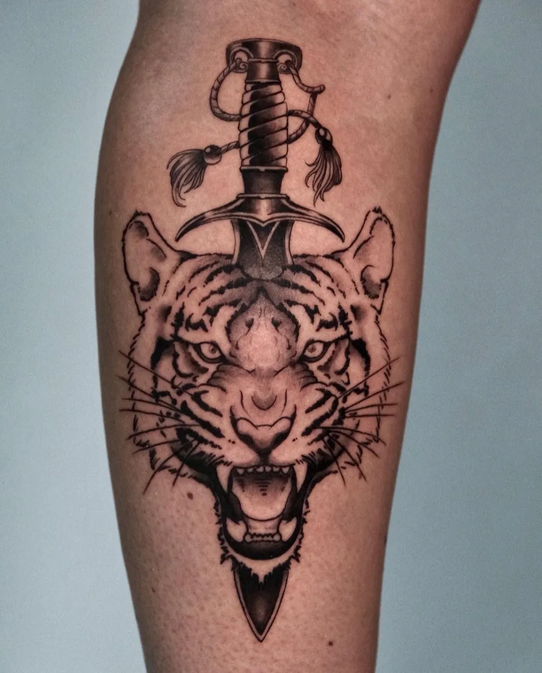 Tigerkopf mit Dolch auf Wade — Neo-Traditional Tattoo von Volcao Sketch