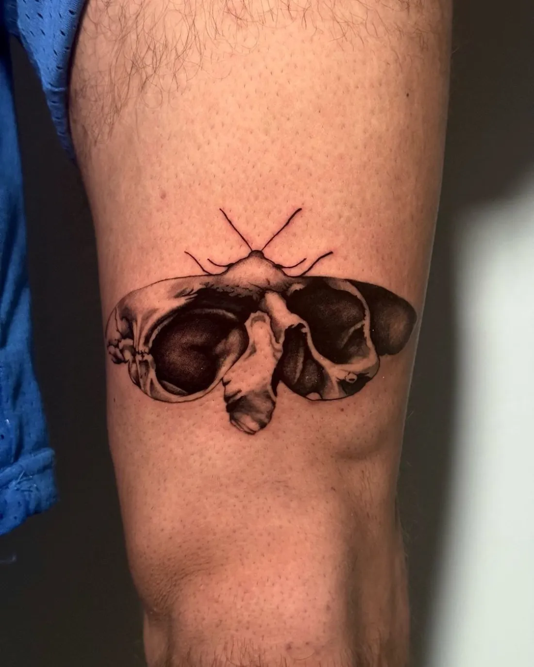 Motte mit Totenschaedel-Fluegeln am Oberschenkel — Blackwork Tattoo von Volcao Sketch